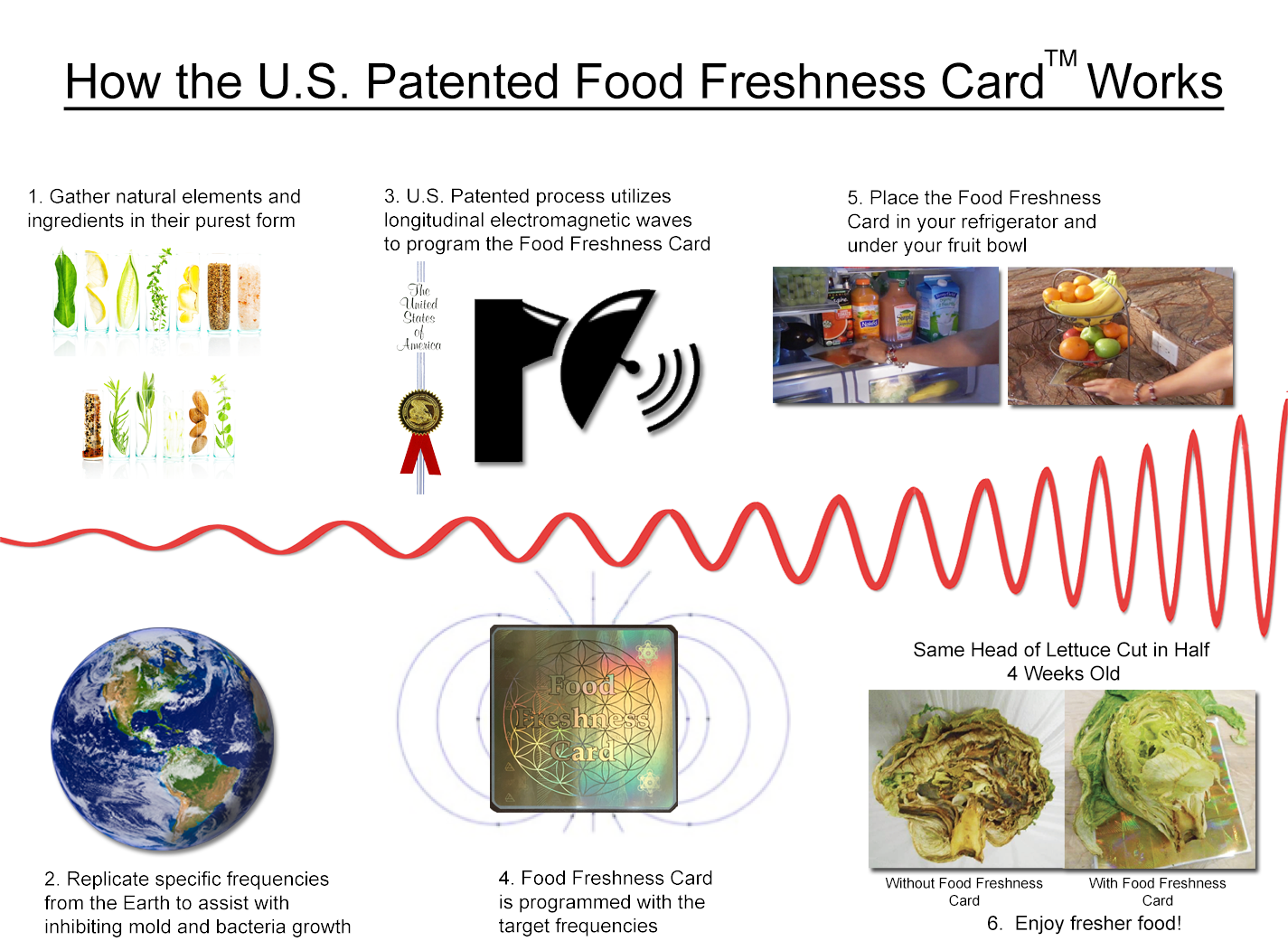 process of dating food to indicate product freshness