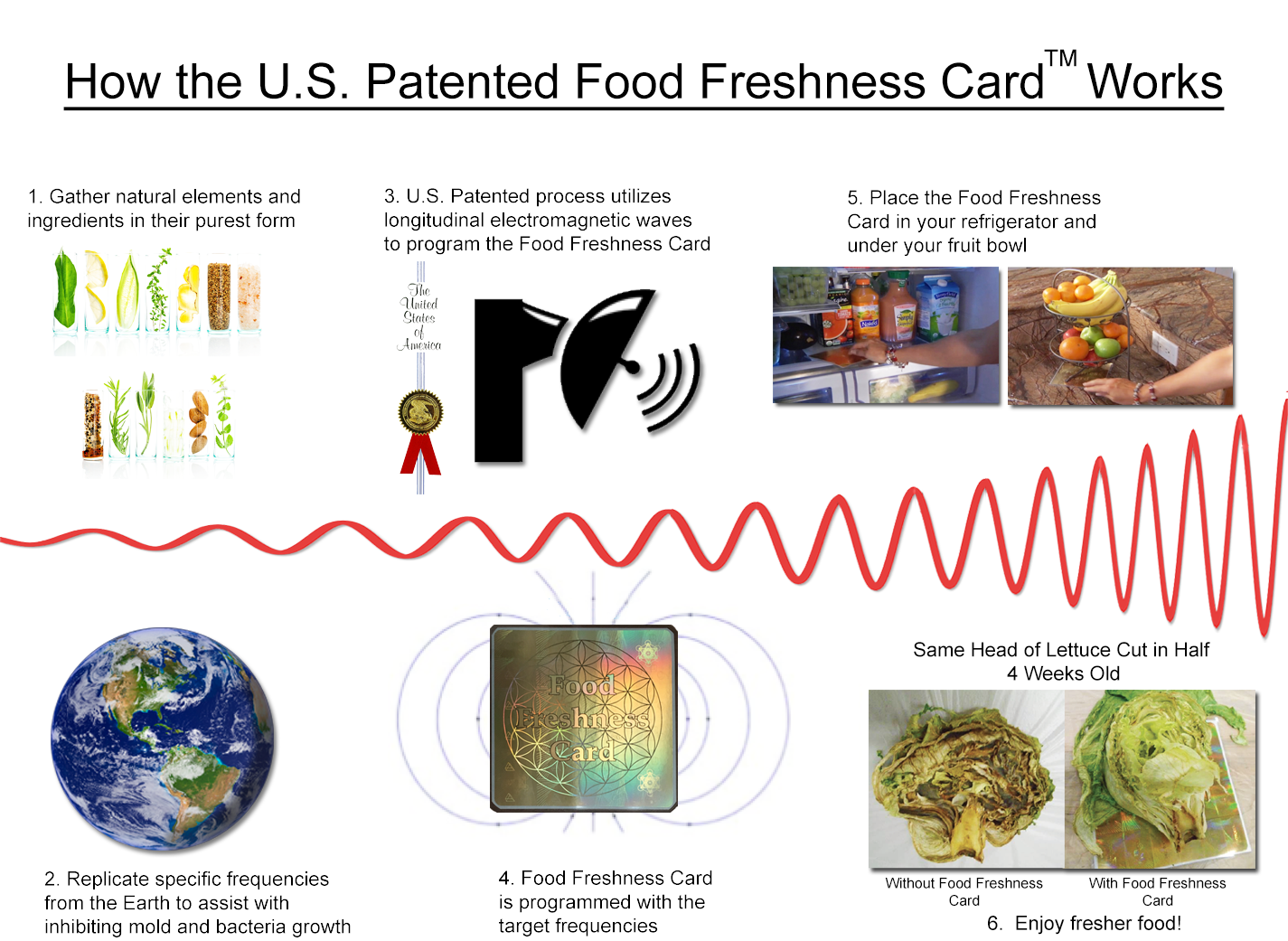 How the food freshness card works Natures Frequencies Food Freshness Card